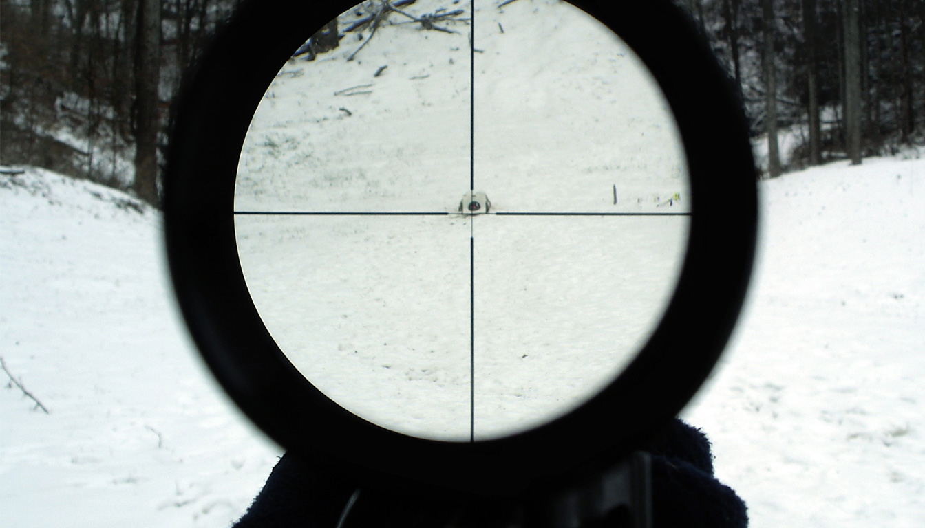 Legea privind uciderea a 1.718 urși, adoptată de Parlament